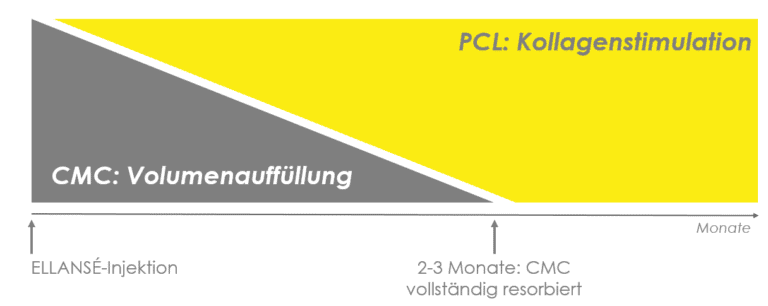 Ellansé Wirkungsweise: CMC für sofortige Volumenauffüllung, PCL für langfristige Kollagenstimulation