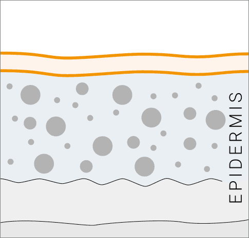 Nach der Microneedling-Behandlung - Kollagen und Elastin werden neu gebildet